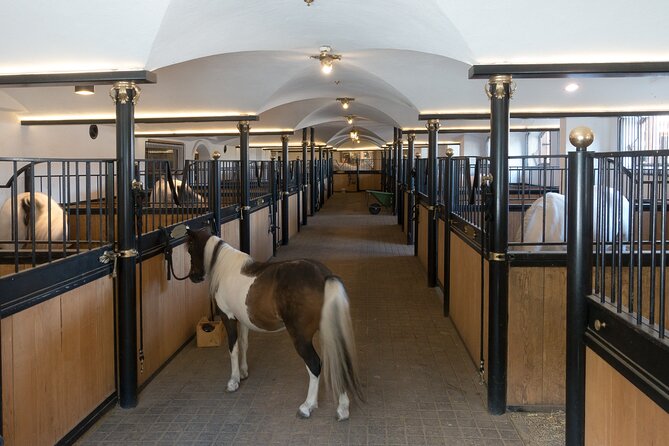 Lipica Stud Farm & Skocjan Caves - Small Group Tour From Koper - Recap