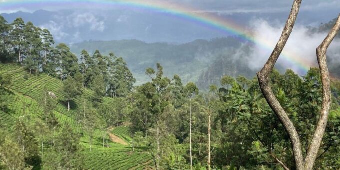 Lipton Seat and Dambetenna Tea Factory: All Inclusive Tour! - Booking and Reservation Details