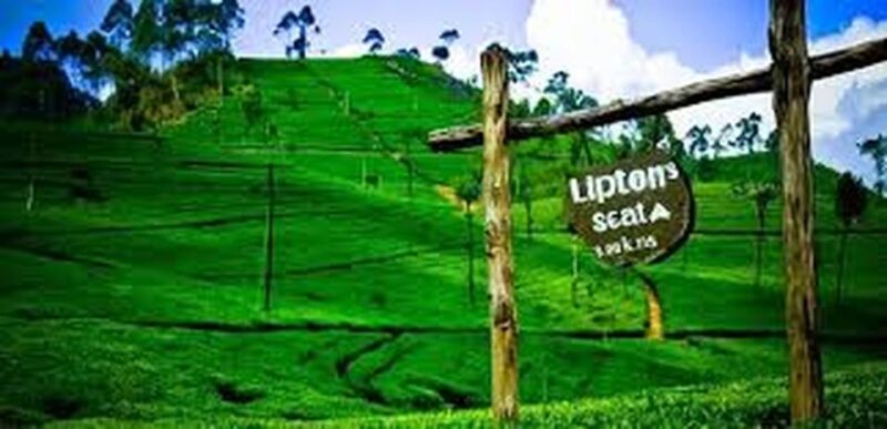 Liptons Seat and Tea Factory & Tea Plantation Day Tour - Key Points
