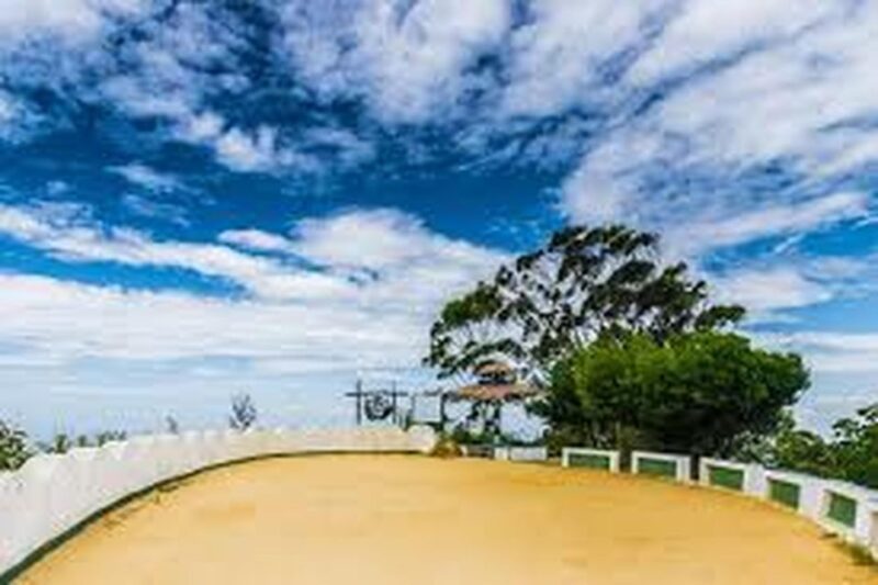 Liptons Seat and Tea Factory & Tea Plantation Day Tour - Itinerary Highlights