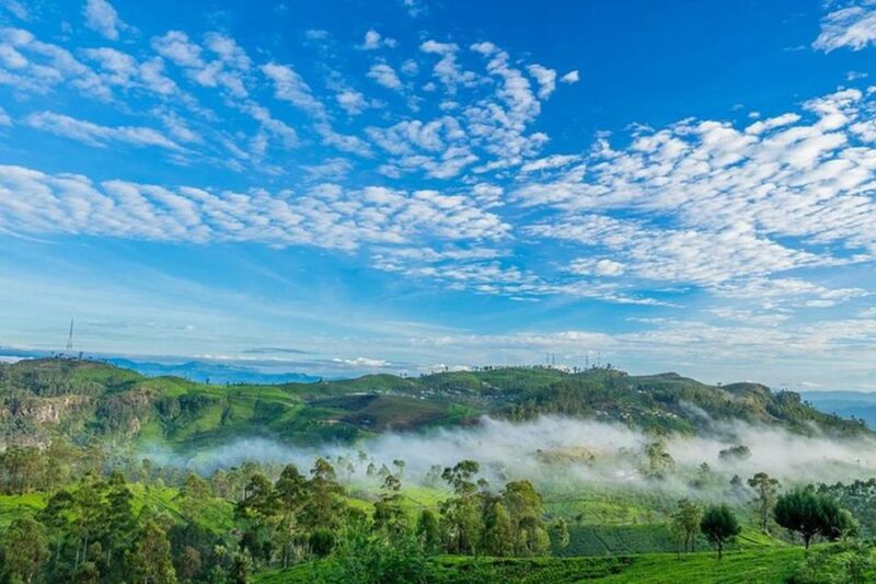 Liptons Seat and Tea Factory & Tea Plantation Day Tour - Important Information