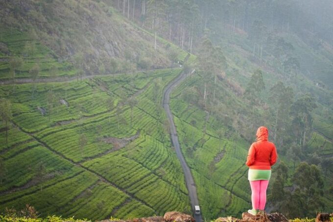 Liptons Seat and Tea Factory & Tea Plantation Day Tour - Pickup and Duration