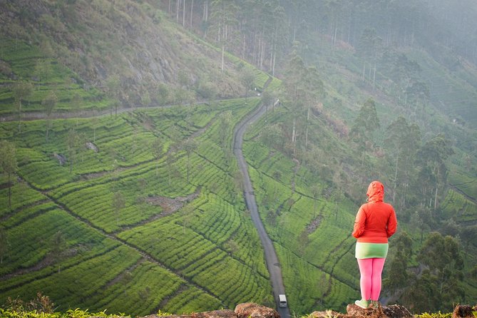 Lipton's Seat and Tea Factory,Trail Amidst Tea Plantation Day Tour - Promoted Experiences and Rail Services