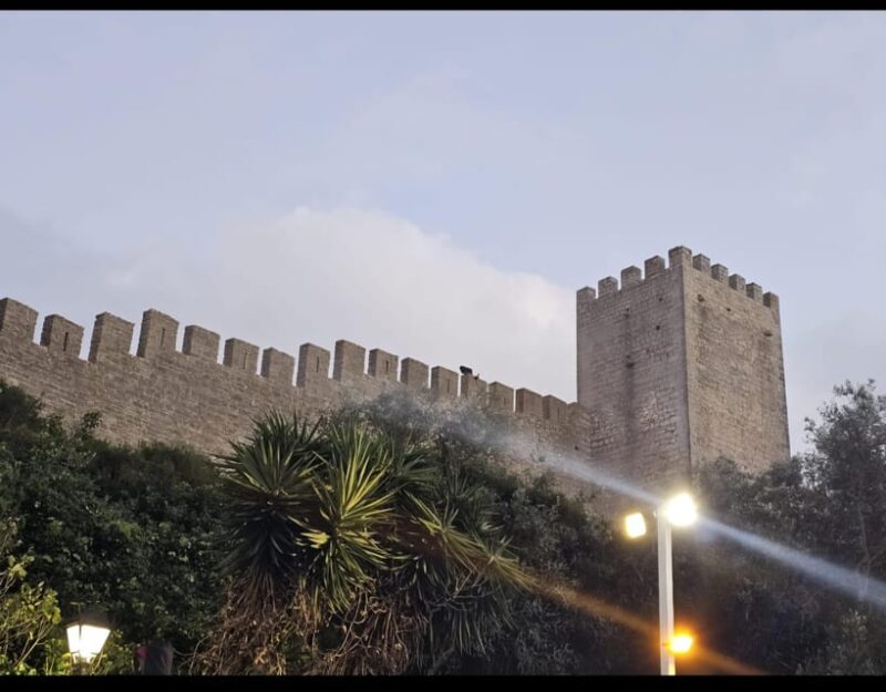 Lisbon: 1-Day Excursion to Fátima, Batalha, Nazaré, and Óbidos - Key Points
