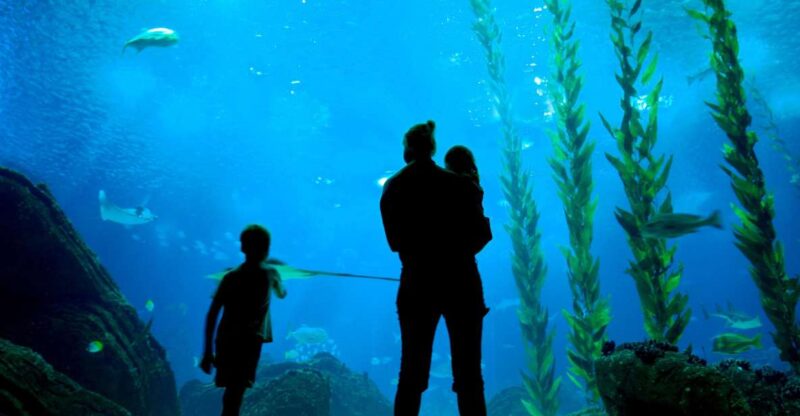 Lisbon: 48-Hour Hop-On-Hop-Off Bus Tour and Oceanarium Entry - Experience Highlights