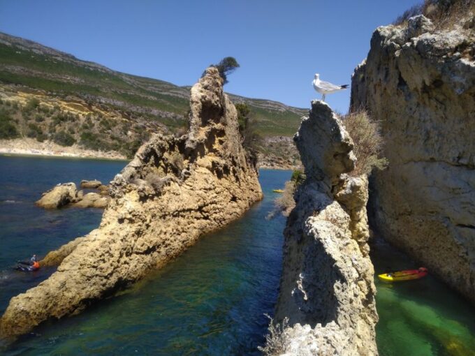 Lisbon: Arrábida All-Inclusive Kayak Adventure Tour - Group Size and Language