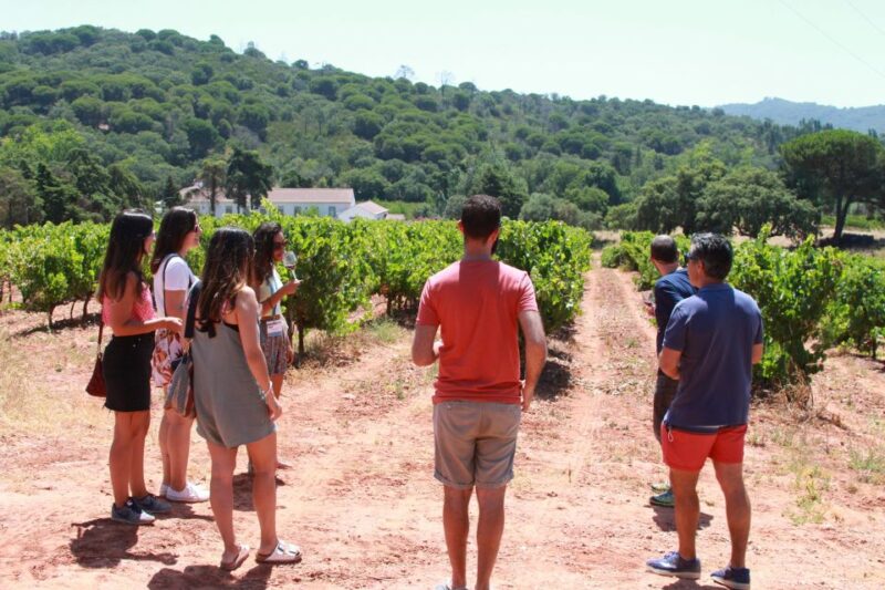 Lisbon: Arrábida and Sesimbra Day Trip With Wine - Included Features