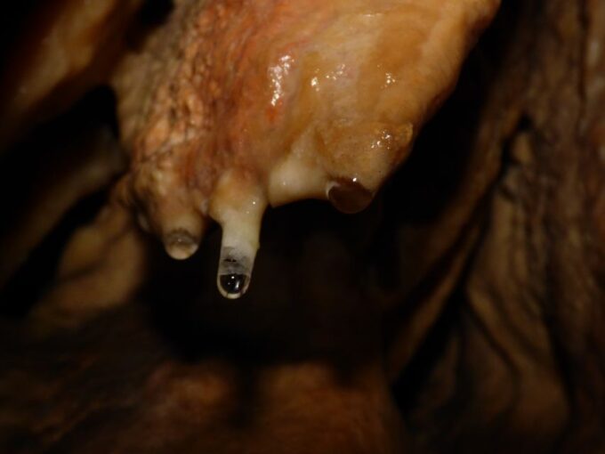 Lisbon: Arrábida Natural Park Cave Tour With Guide - Participant Restrictions