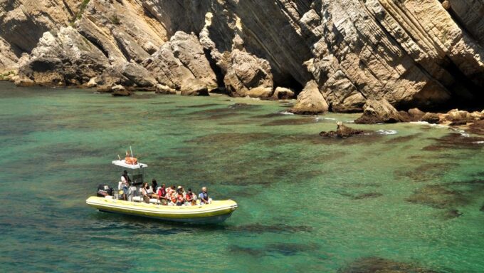Lisbon: Arrábida Natural Park Dolphin Watching Boat Tour - Packing Recommendations