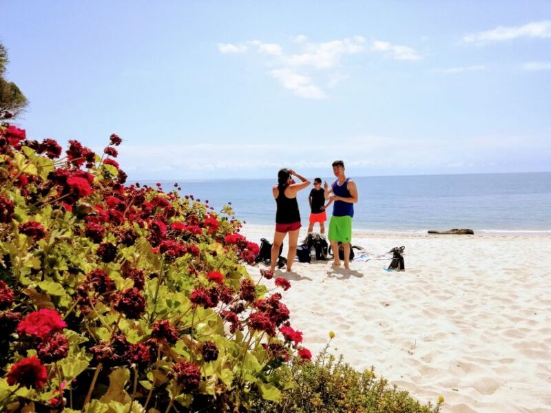 Lisbon: Arrábida Snorkeling Adventure - Meeting and Pickup Details