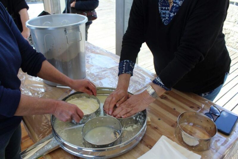 Lisbon: Azeitão Cheese Workshop With Wine & Food Tasting - Itinerary Highlights