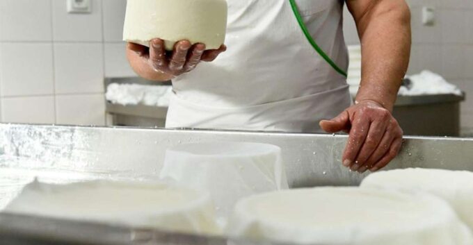 Lisbon: Azeitão Cheese Workshop With Wine & Food Tasting - Azeitão Cheese and Wine Tasting