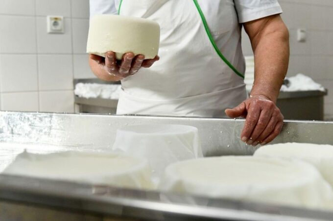 Lisbon: Azeitão Cheese Workshop With Wine & Food Tasting - Sesimbra Medieval Castle Panorama