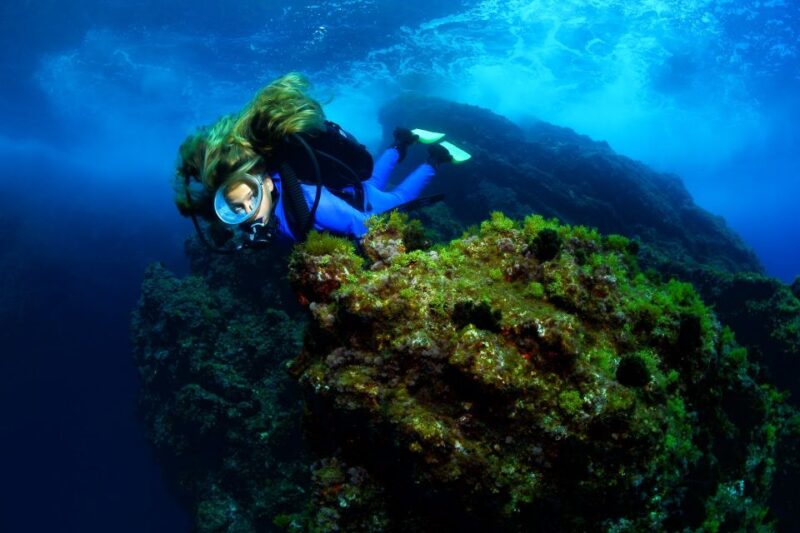 Lisbon: Become a Scuba Diver in 3-Days - Training and Experience