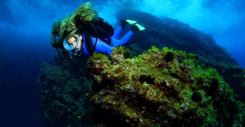Lisbon: Become a Scuba Diver in 3-Days - Arrabida Natural Park