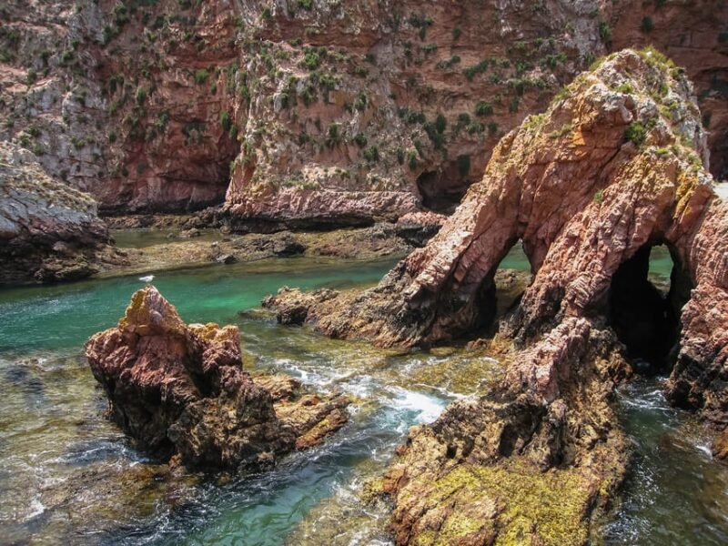 Lisbon: Berlenga Island Full Day Tour - Important Information