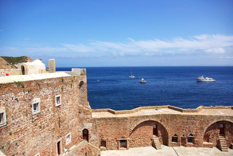 Lisbon: Berlenga Island Full Day Tour - Customer Feedback