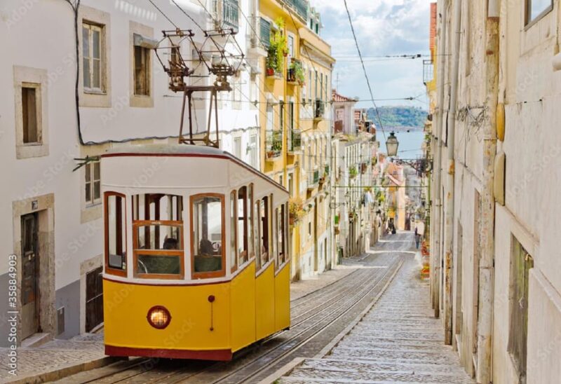 Lisbon City Tour HALF DAY 4h - VAN - Customer Feedback
