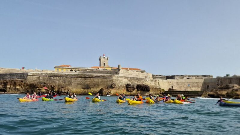 Lisbon: Coast Guided Kayak Tour - Key Points