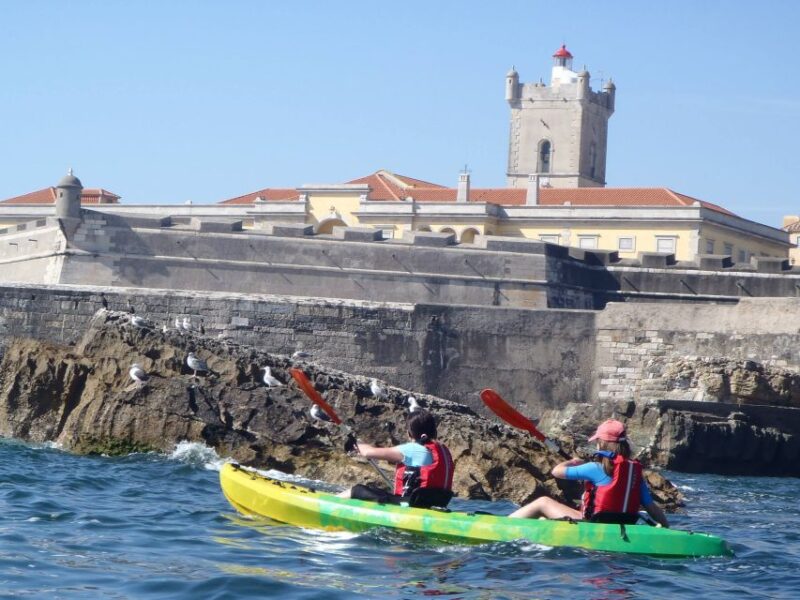 Lisbon: Coast Guided Kayak Tour - Experience Highlights
