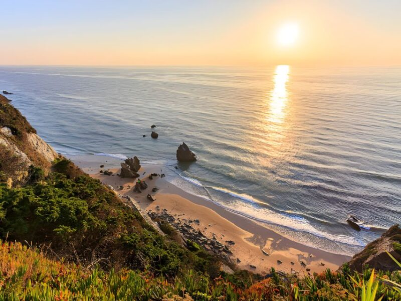 Lisbon Coast Tour: Paradise Beaches & Famous Beach Bars - Key Points