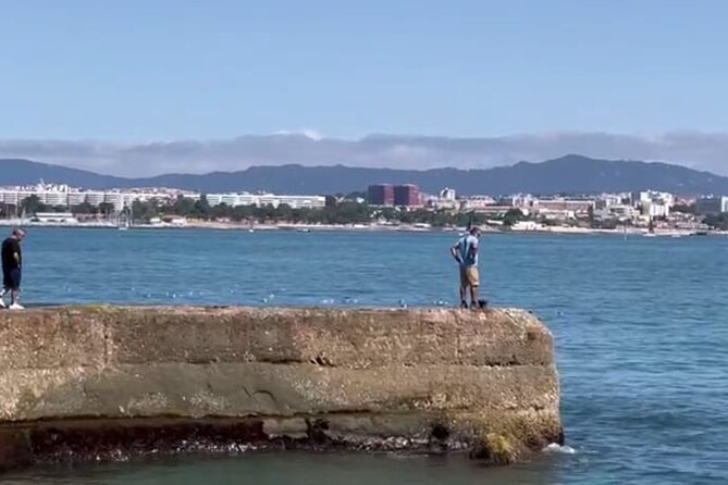 Lisbon Cruise With Dolphin Watching - Critiques