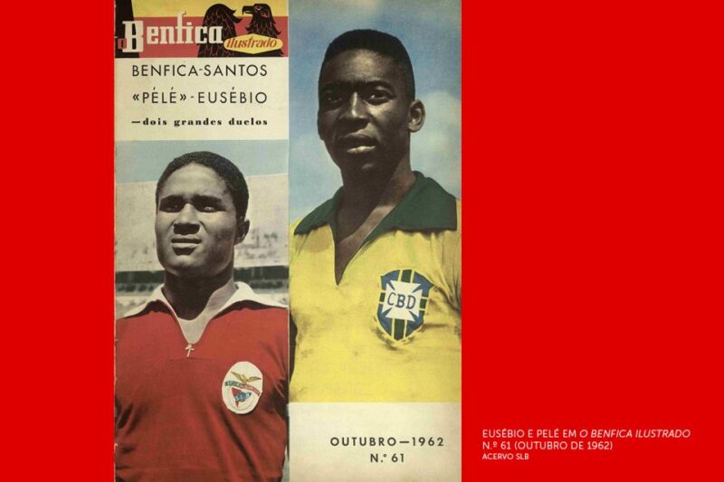 Lisbon: Customized Luz Stadium and Guided Museum Tour - Customer Reviews and Ratings
