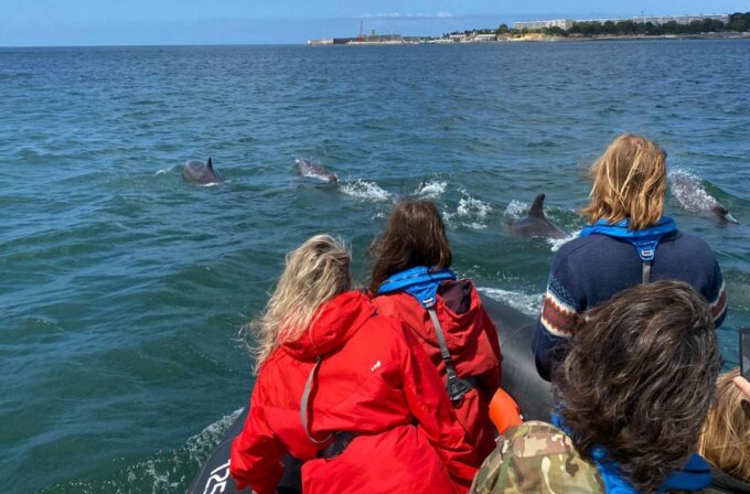Lisbon: Dolphin Watching Boat Tour - Frequently Asked Questions