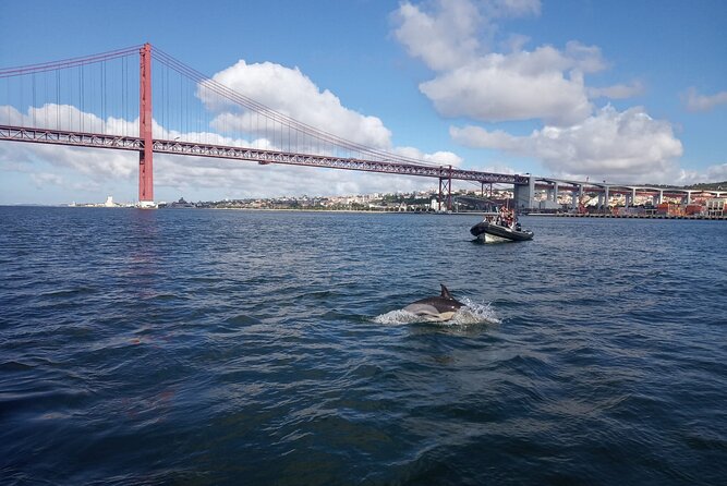 Lisbon Dolphin Watching With a Marine Biologist in a Small Group - Landmarks and Scenic Views
