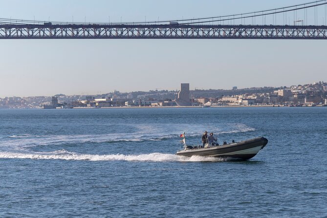 Lisbon Dolphin Watching With a Marine Biologist in a Small Group - Inclusions and Additional Information