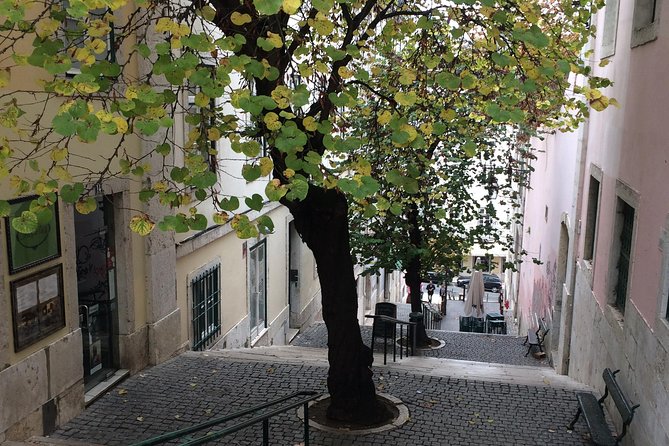 Lisbon Downtown and Chiado_ Private Tour - Booking Information