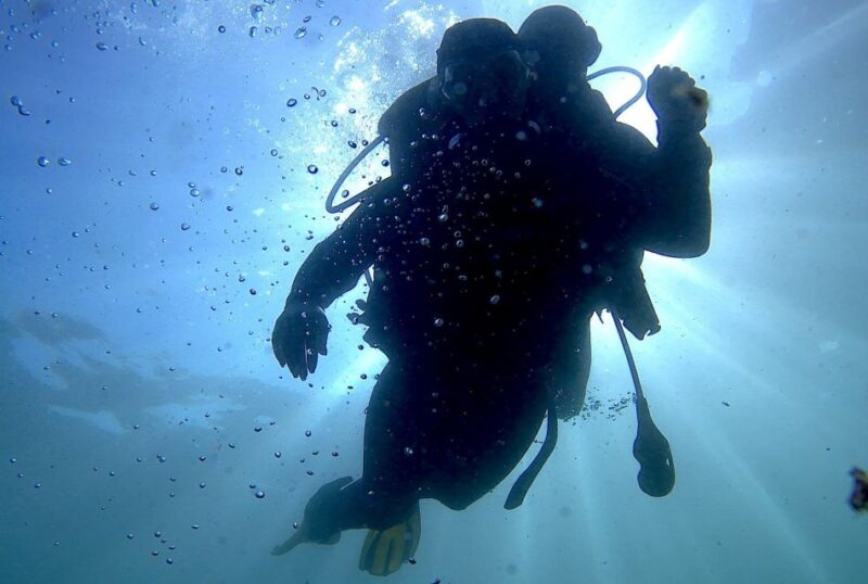 Lisbon: Eco-Friendly Beginners Scuba Diving - Activity Overview