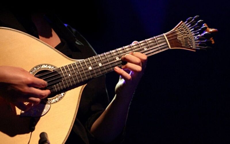 Lisbon: Fado Show and Portuguese Dinner - Fado Cultural Immersion