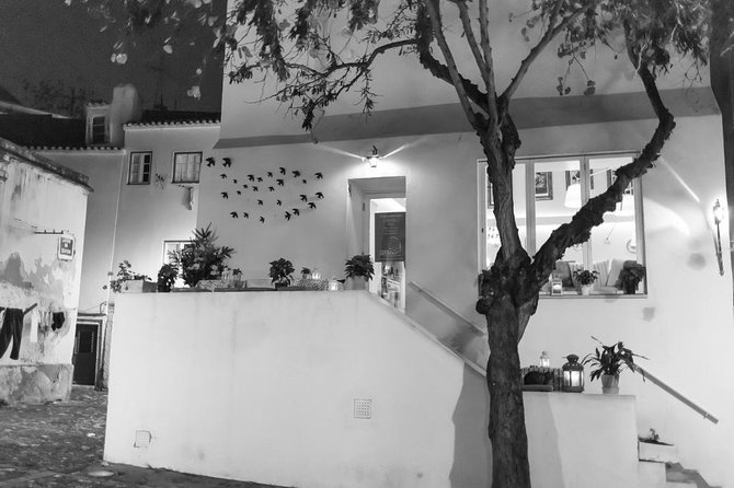 Lisbon Fado Walking Tour (With a Fado Singer) - Accessibility and Participation