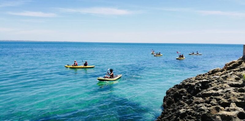 Lisbon: Full-Day Kayak Tour With Picnic and Transfer - Customer Feedback