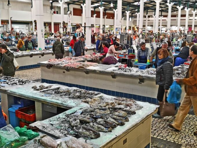 Lisbon: Guided Setúbal History and Fish Market Tour - Pricing and Duration