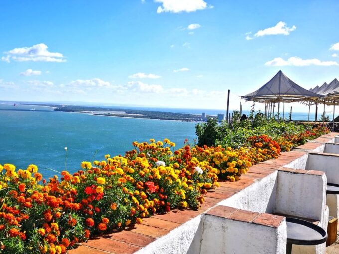 Lisbon: Guided Setúbal History and Fish Market Tour - Language Options