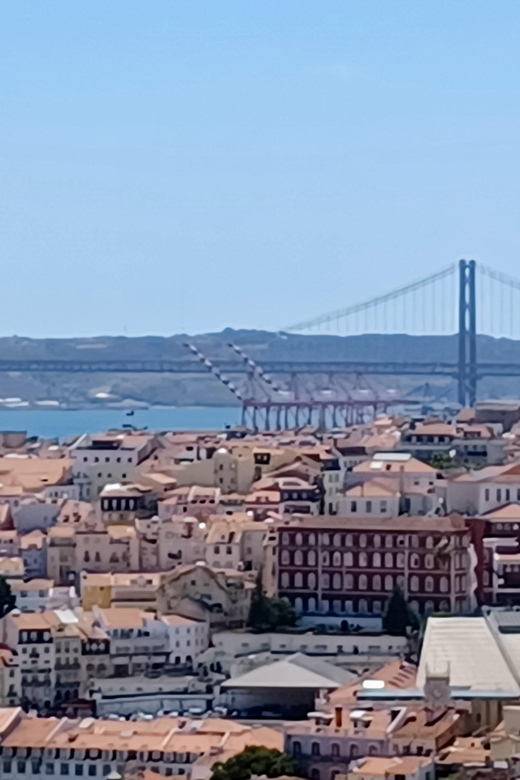 Lisbon Half Day: Private Tour of the Citys Charms - Pickup and Accessibility