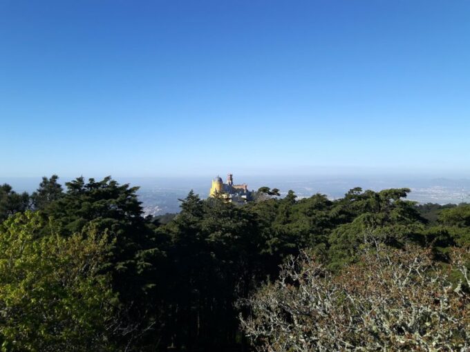 Lisbon: Half-Day Sintra Tour With Pena Palace and Regaleira - Positive Customer Feedback