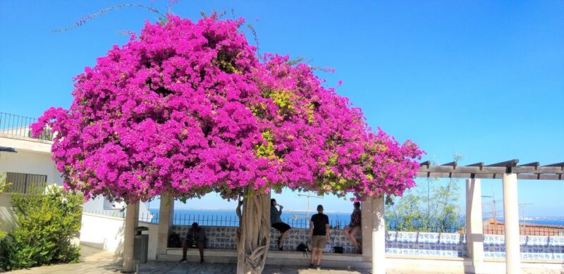 Lisbon: Highlights Tour of Lisbon, Sintra, and Cascais - Itinerary Highlights