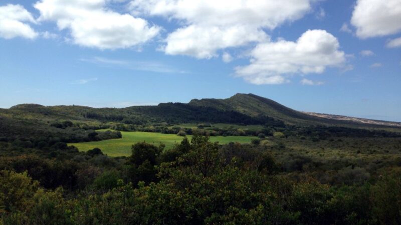 Lisbon: Hiking in Arrábida Natural Park - Guided Tour Overview and Details