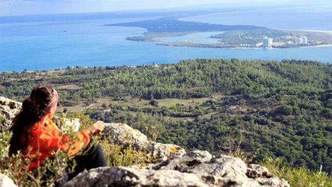 Lisbon: Hiking in Arrábida Natural Park - Customer Reviews and Feedback