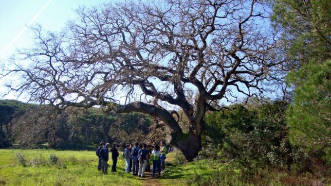 Lisbon: Hiking in Arrábida Natural Park - Why Choose This Hiking Adventure