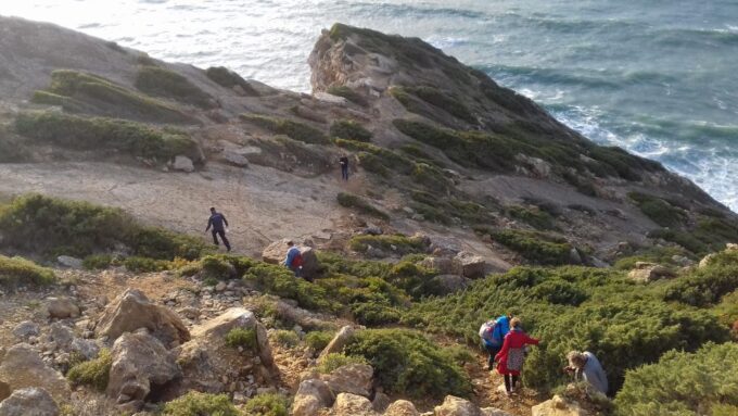 Lisbon: Hiking in Arrábida Natural Park - Frequently Asked Questions