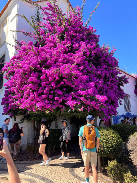 Lisbon: Historic Tuk Tuk Adventure - Itinerary Flexibility