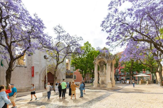 Lisbon: History, Stories and Lifestyle Walking Tour - Customer Feedback