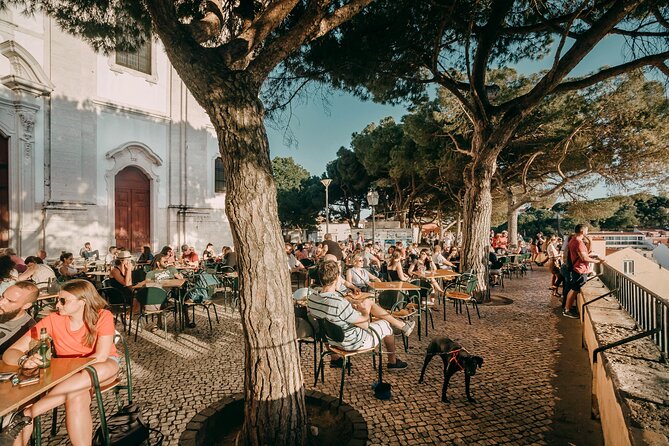 Lisbon Like a Local Private Tour - Avoid the Tourist Route - Why Choose This Tour?