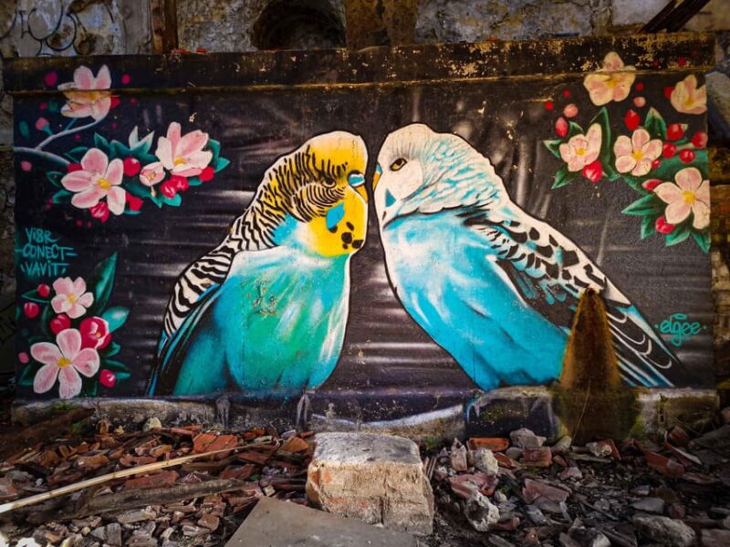 Lisbon: Lost Places & Street Art Tour for Photographers - Inclusions and Requirements