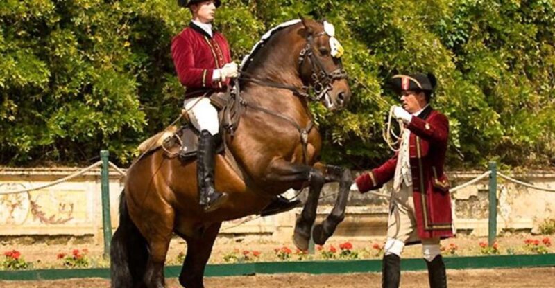 Lisbon: Morning of Equestrian Art With Lusitano Horses - Inclusions and Amenities