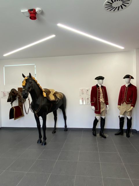 Lisbon: Morning of Equestrian Art With Lusitano Horses - Activity Hours and Meeting Point